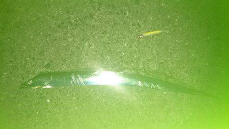 ロマン砲発射準備！