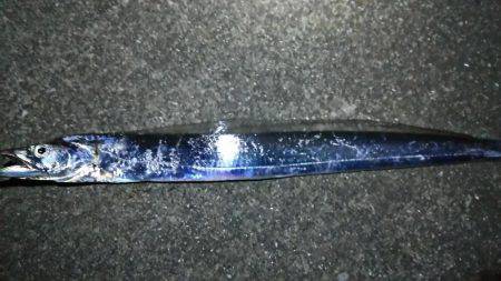 短時間ワインド