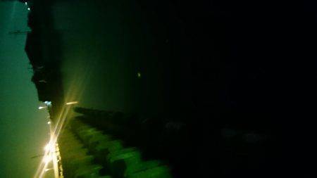 渋いけど安定サンマ