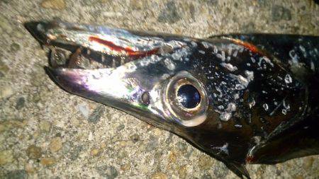 ガツンと来ない