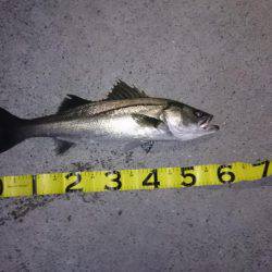 トップで寄せてワインドで