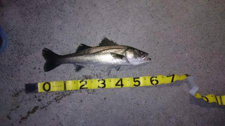 トップで寄せてワインドで