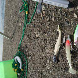 大蔵海岸でタチウオワインド