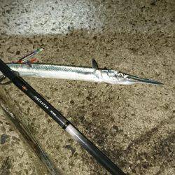 リベンジ達成！