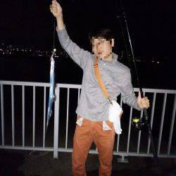 大蔵海岸でタチウオの引き釣り