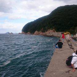 荒波に負けない!