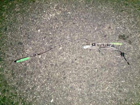 インターナショナルポイント