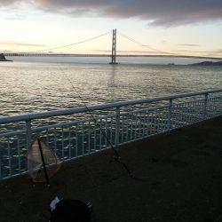 シーバス狙いのはずが・・・