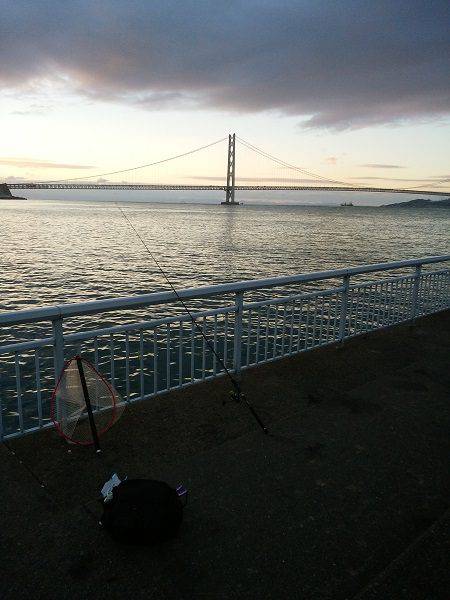 シーバス狙いのはずが・・・