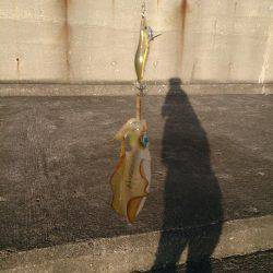 元はとれませんでした