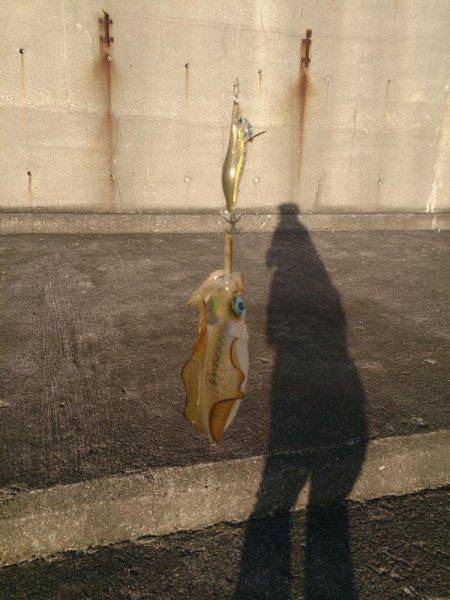 元はとれませんでした