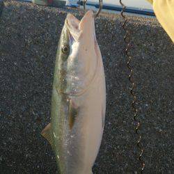 なめたらあかん♪