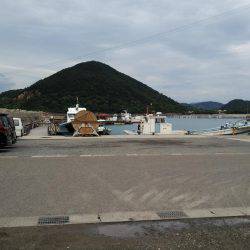 あまりの引きに無名の餌木竿が…