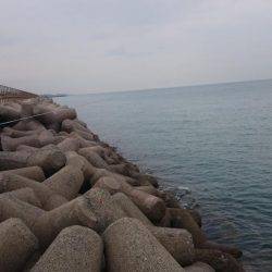 夕方は少し混みます