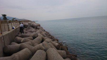 夕方は少し混みます