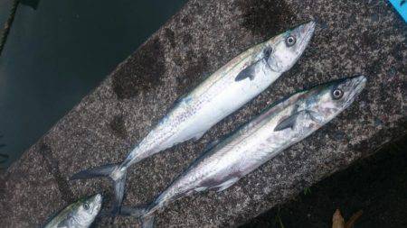 舞鶴湾内について