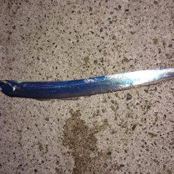 貝塚太刀魚狩り