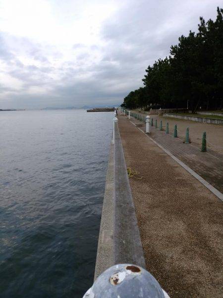 タチウオ時々アジング