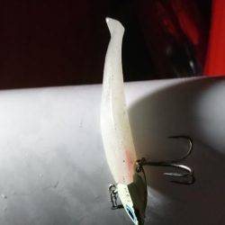 到着２投目サゴシちゃん！