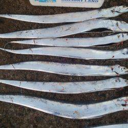 ドラゴンを求めて その2