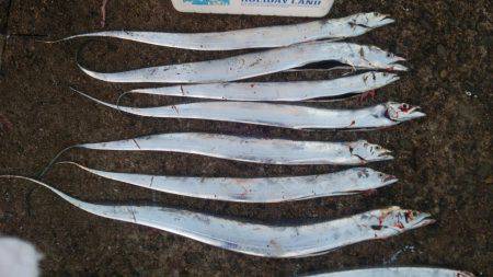 ドラゴンを求めて その2