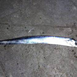 仕事帰りに・・。