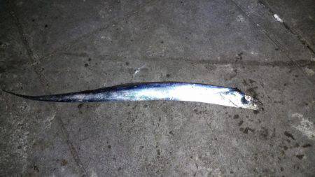 仕事帰りに・・。