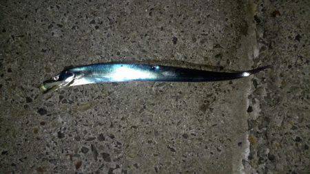 粘りに粘って、、。