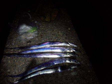 やっぱテンヤ最高