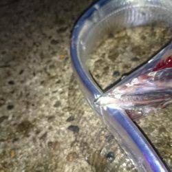 ポロポロと釣れる