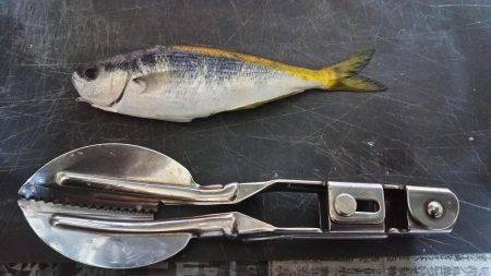 コアジ釣り