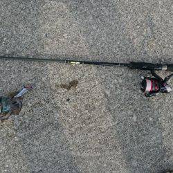 朝まずめ狙いでアオリイカ