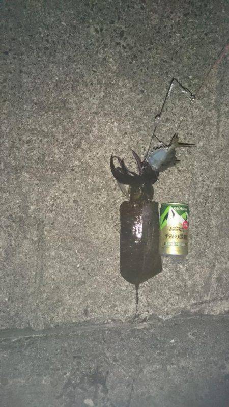 今週も先週の所へ覗いてきました。