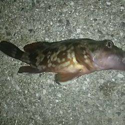 ちょこっと調査