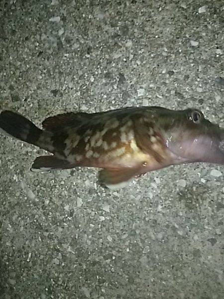 ちょこっと調査