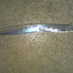 アオリイカ狙いがタチウオに