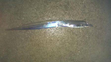 アオリイカ狙いがタチウオに