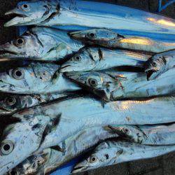 2週振りのリベンジ