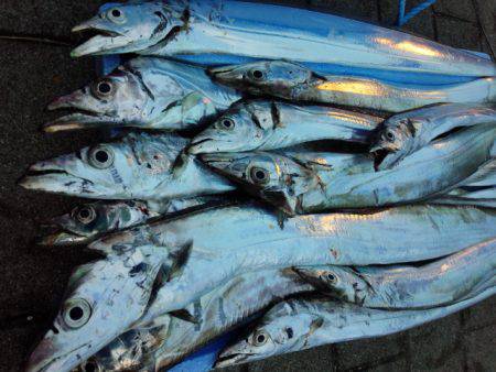 ２週振りのリベンジ