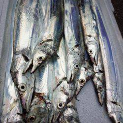 少しサイズダウン？