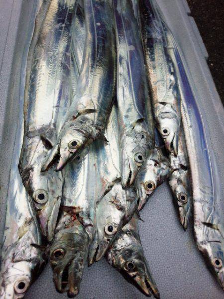 少しサイズダウン？