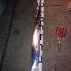 今シーズン初のドラゴン！