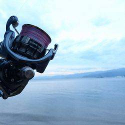 強風サーフエギング