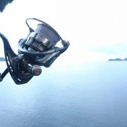 サーフエギング