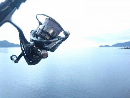 サーフエギング