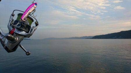 敦賀秋のサゴシ祭