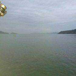 敦賀秋イカ終盤戦