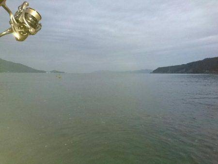 敦賀秋イカ終盤戦