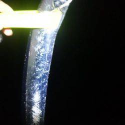 やっぱオモロイ。