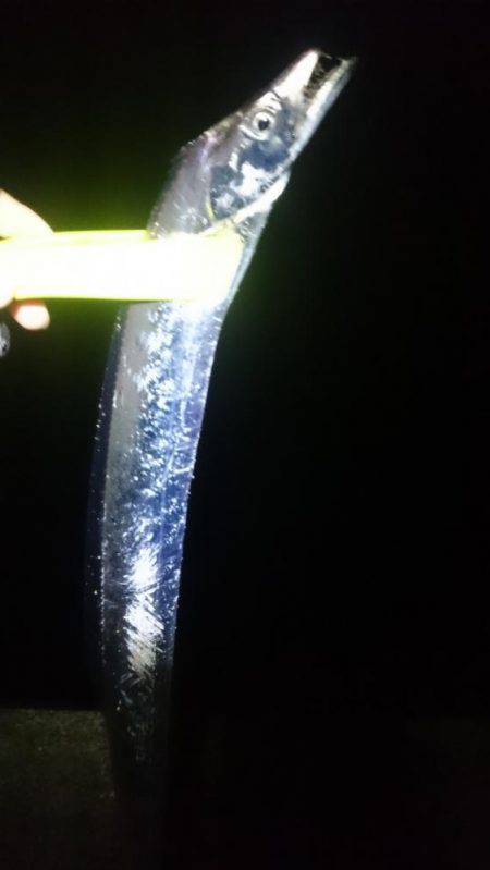 やっぱオモロイ。